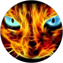 dranox profielfoto